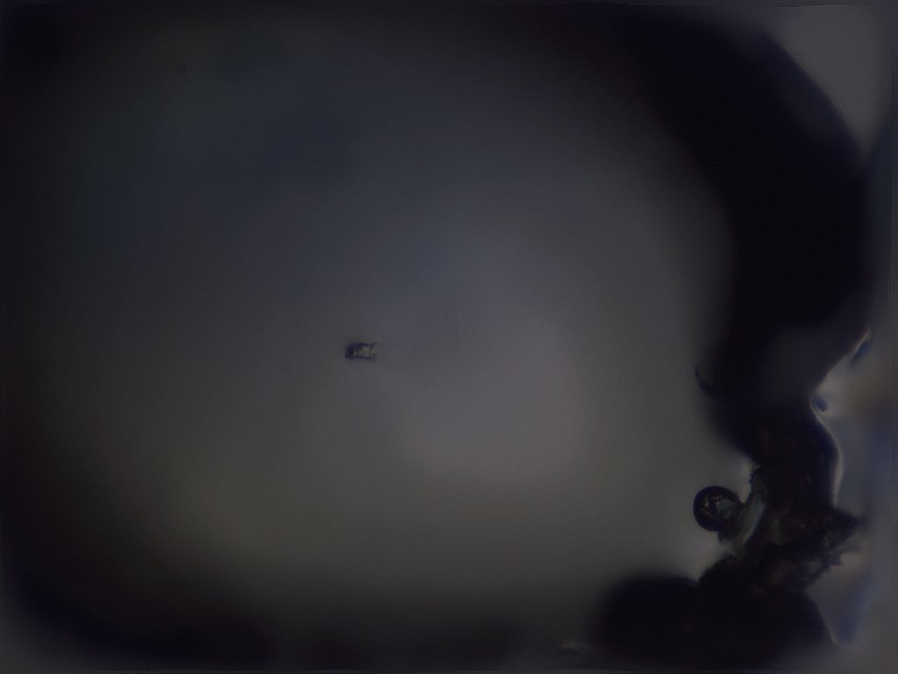 04g1_A8_ImagerDefaults_3.jpg