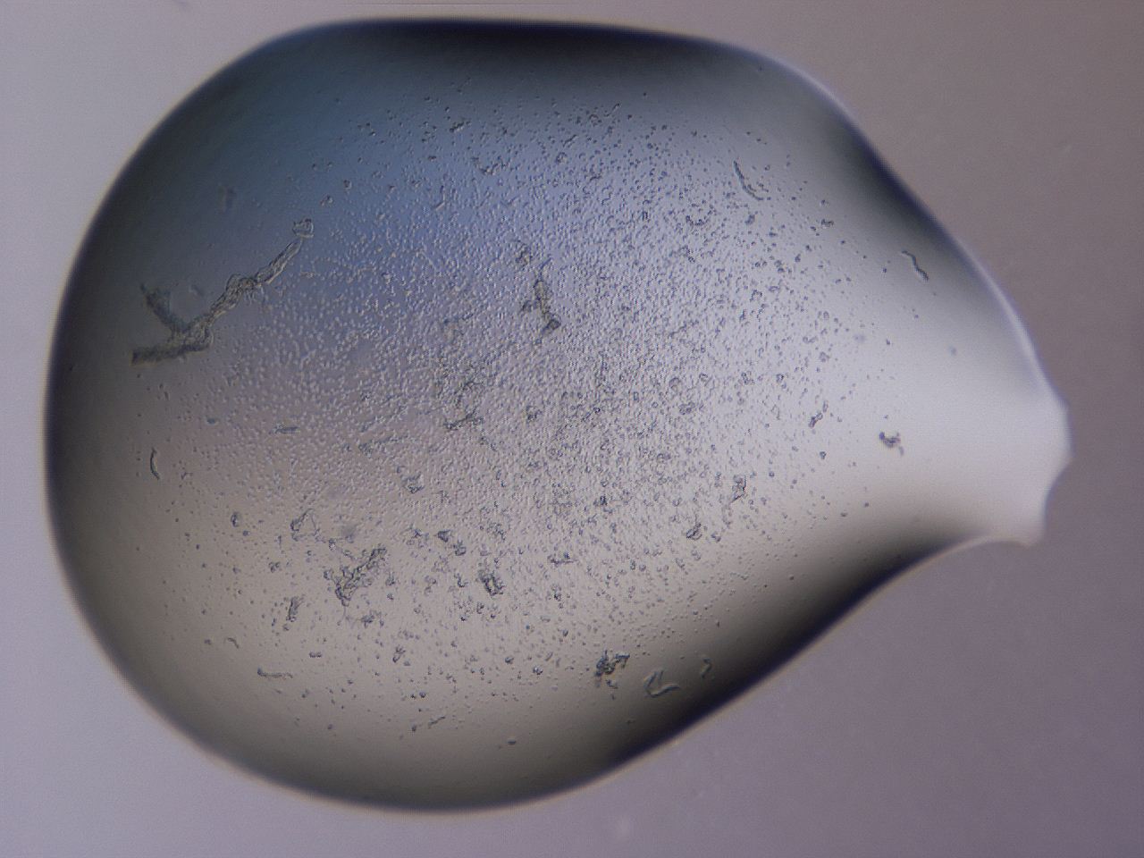 04g1_A9_ImagerDefaults_3.jpg