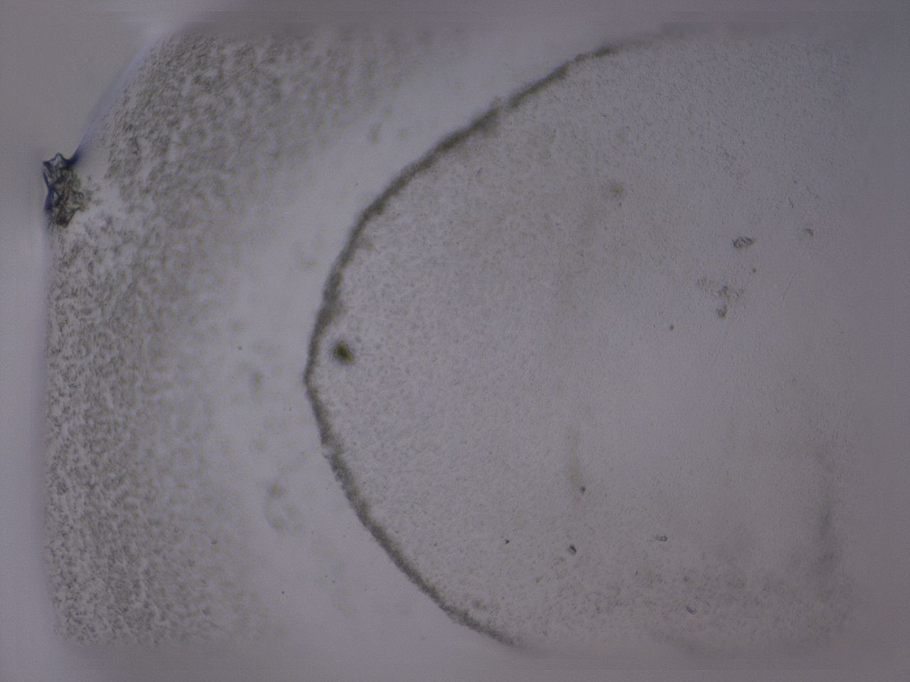 04g1_A11_ImagerDefaults_3.jpg