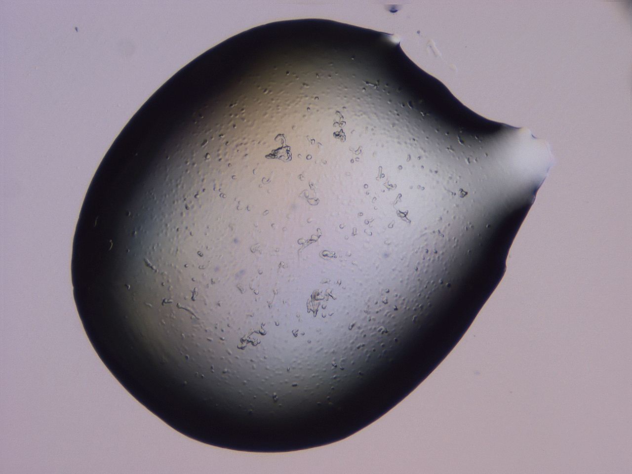 04g1_B5_ImagerDefaults_3.jpg