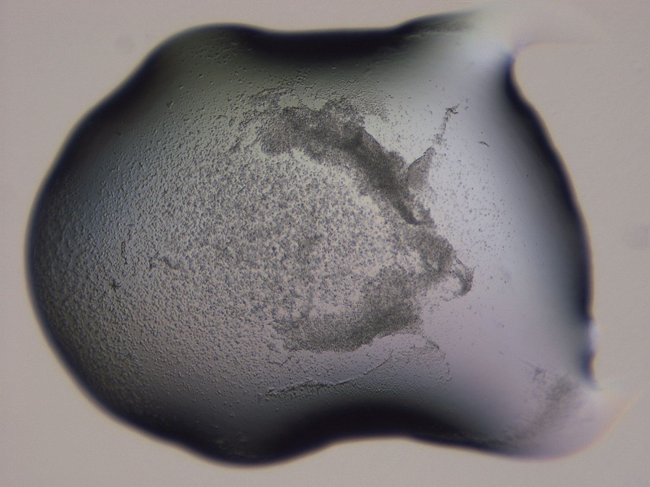 04g1_B6_ImagerDefaults_3.jpg