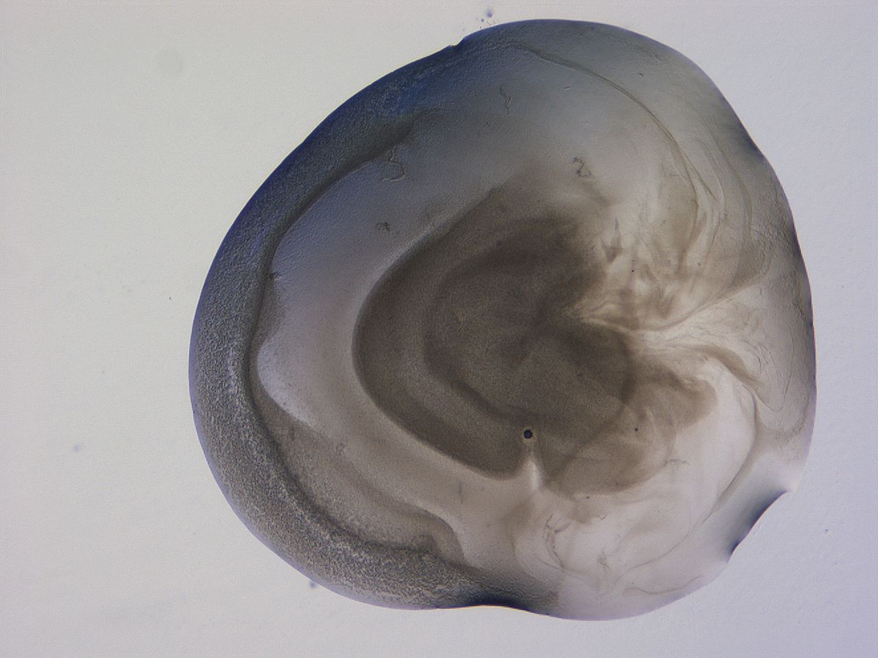 04g1_F3_ImagerDefaults_3.jpg