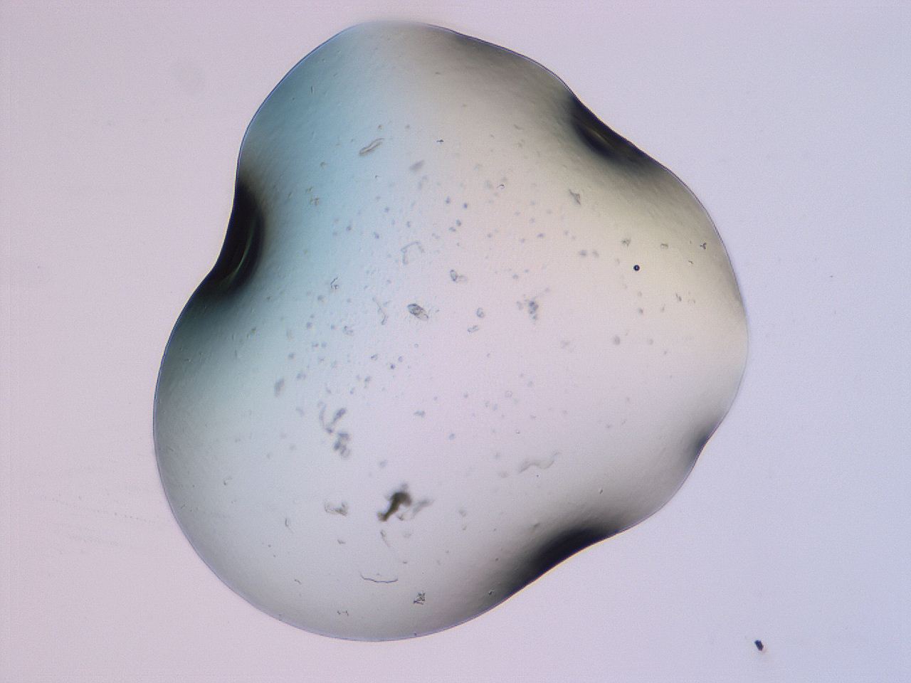 04g1_F4_ImagerDefaults_3.jpg