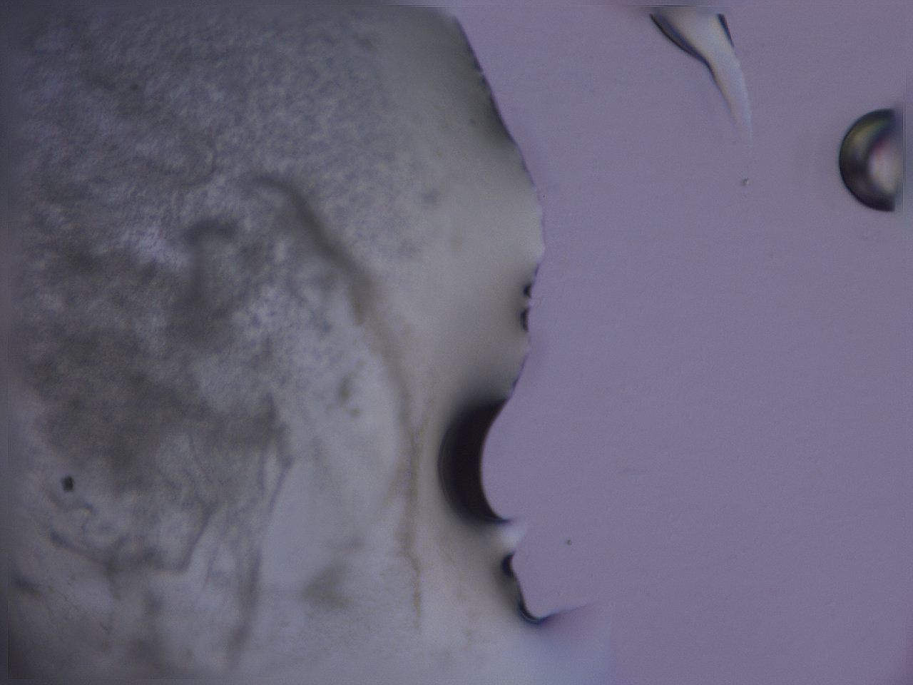 04g1_F6_ImagerDefaults_3.jpg