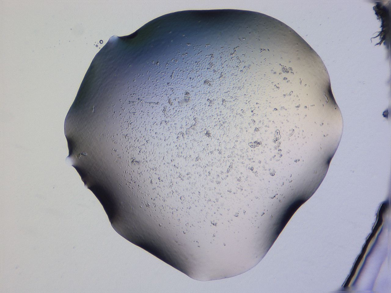 04g1_F7_ImagerDefaults_3.jpg