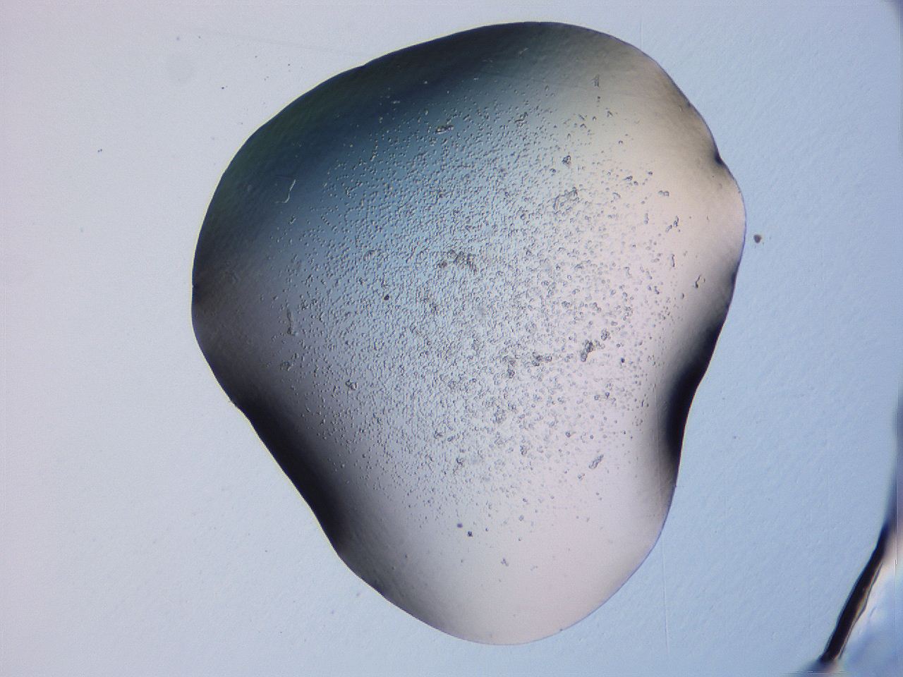 04g1_F8_ImagerDefaults_3.jpg