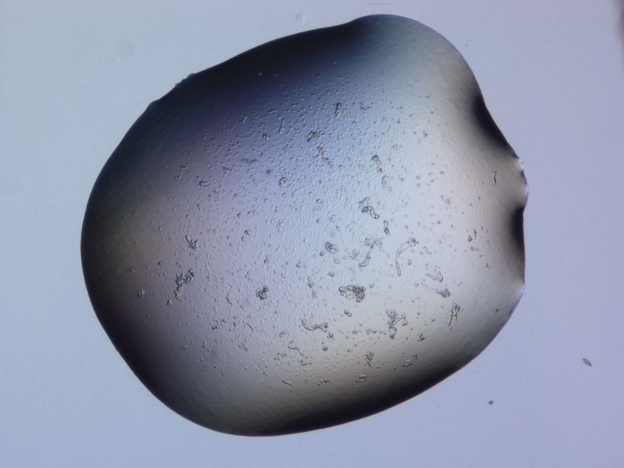 04g1_F10_ImagerDefaults_3.jpg