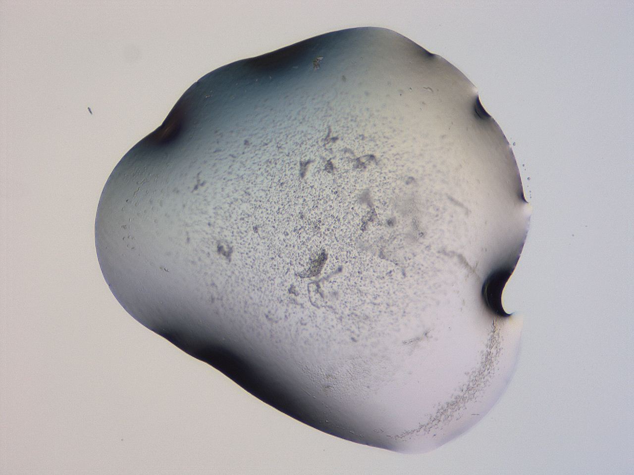 04g1_F11_ImagerDefaults_3.jpg