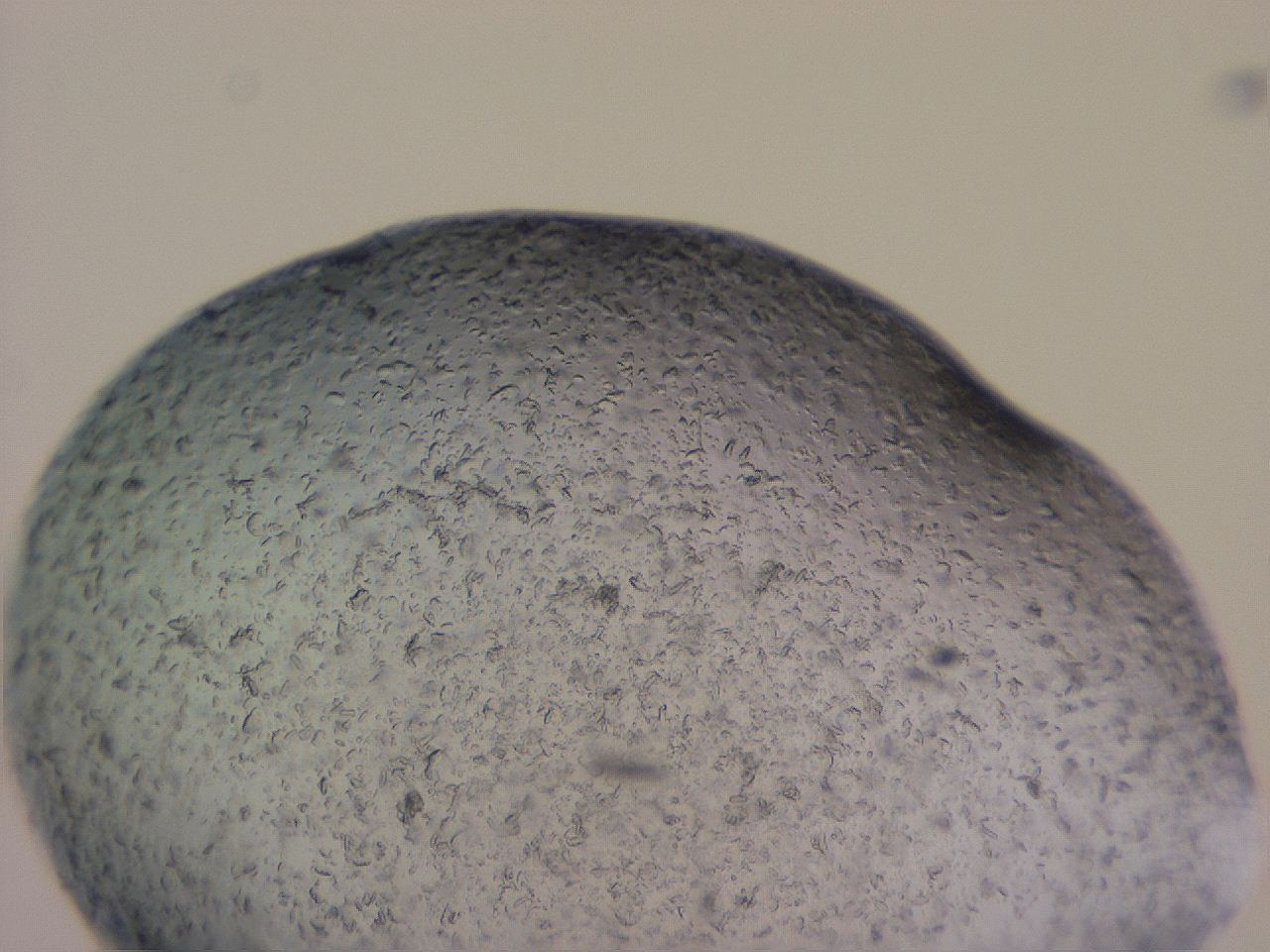04g1_G2_ImagerDefaults_3.jpg