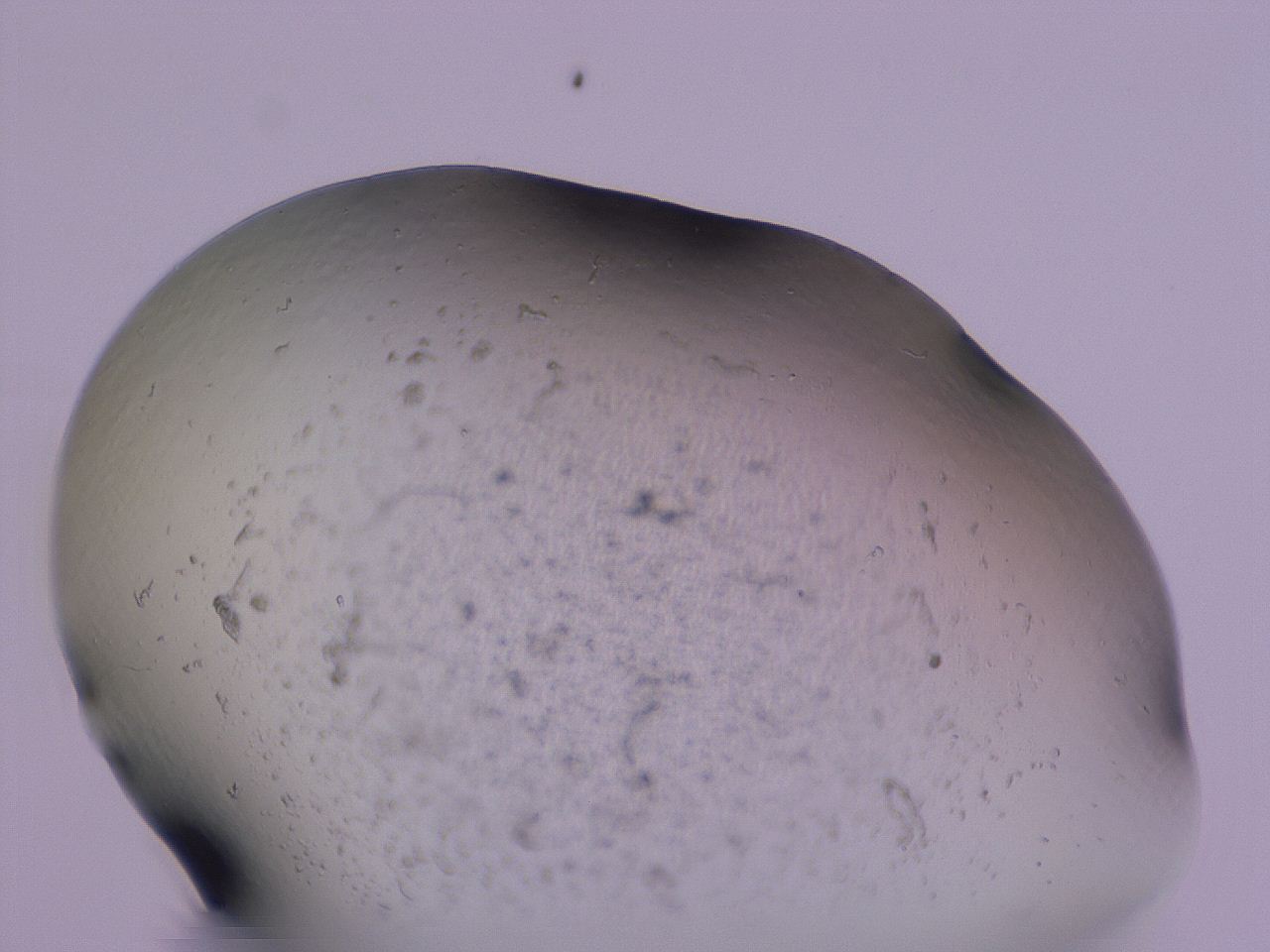 04g1_G3_ImagerDefaults_3.jpg