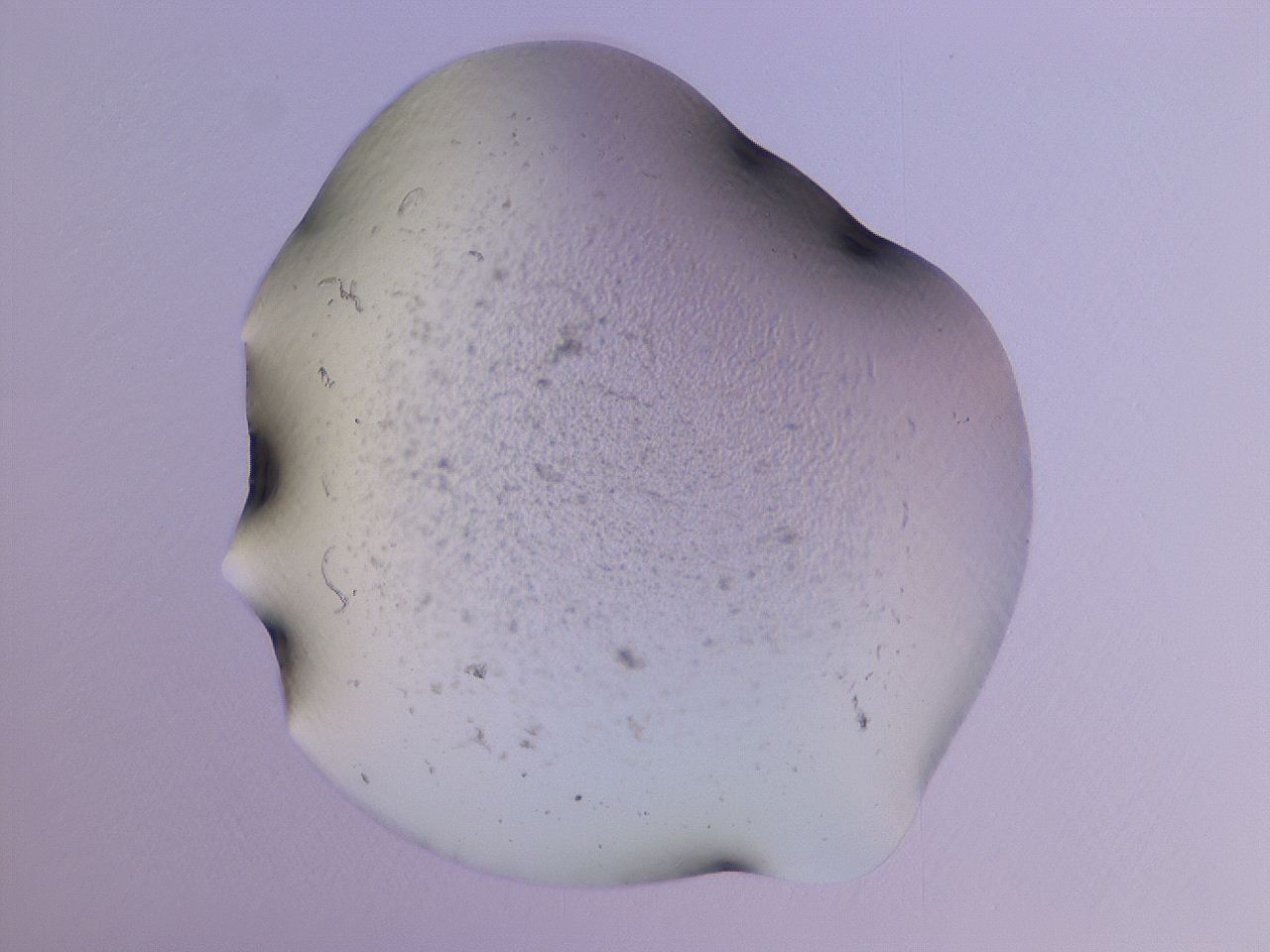 04g1_G7_ImagerDefaults_3.jpg