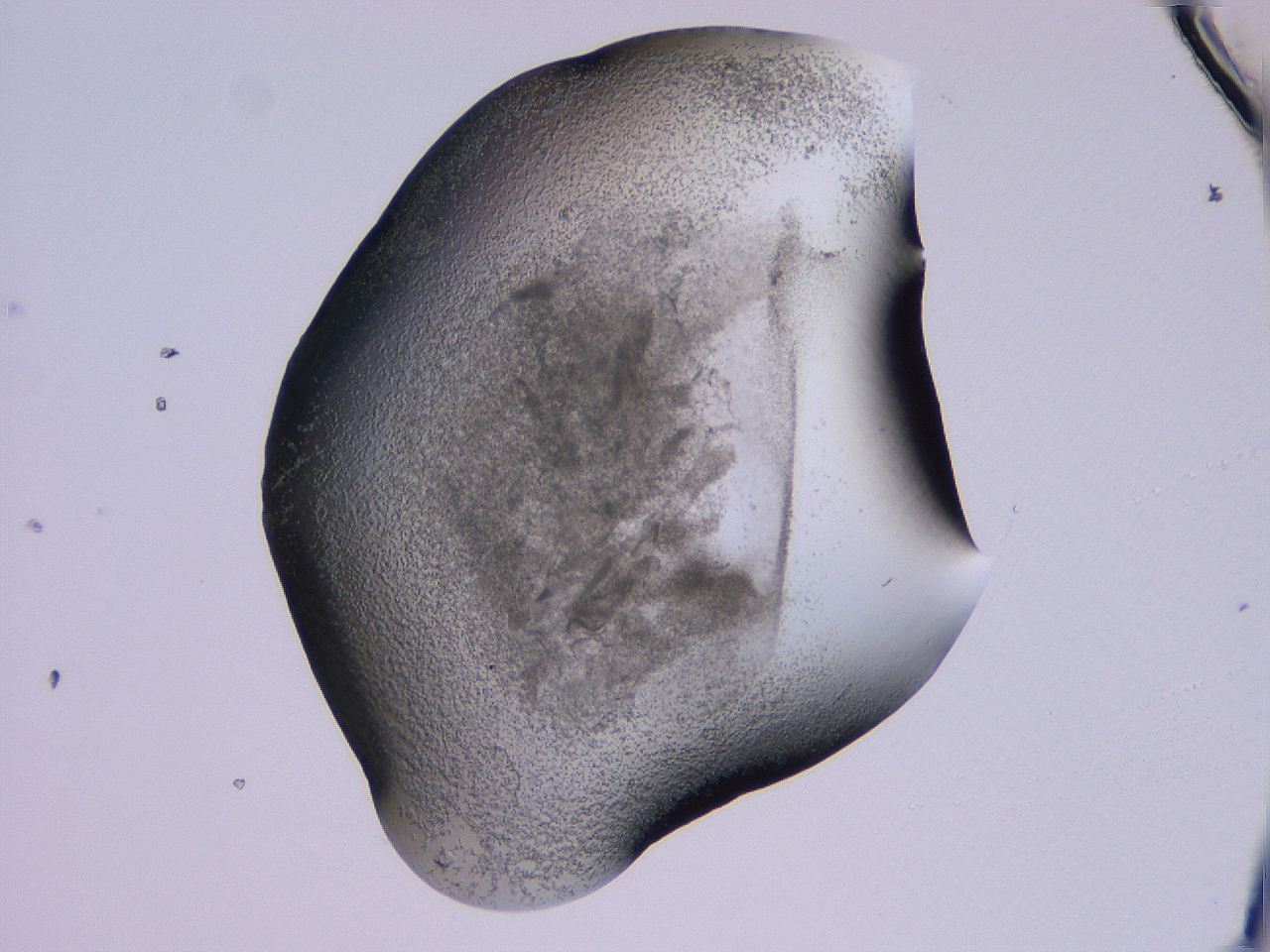 04g1_B9_ImagerDefaults_3.jpg