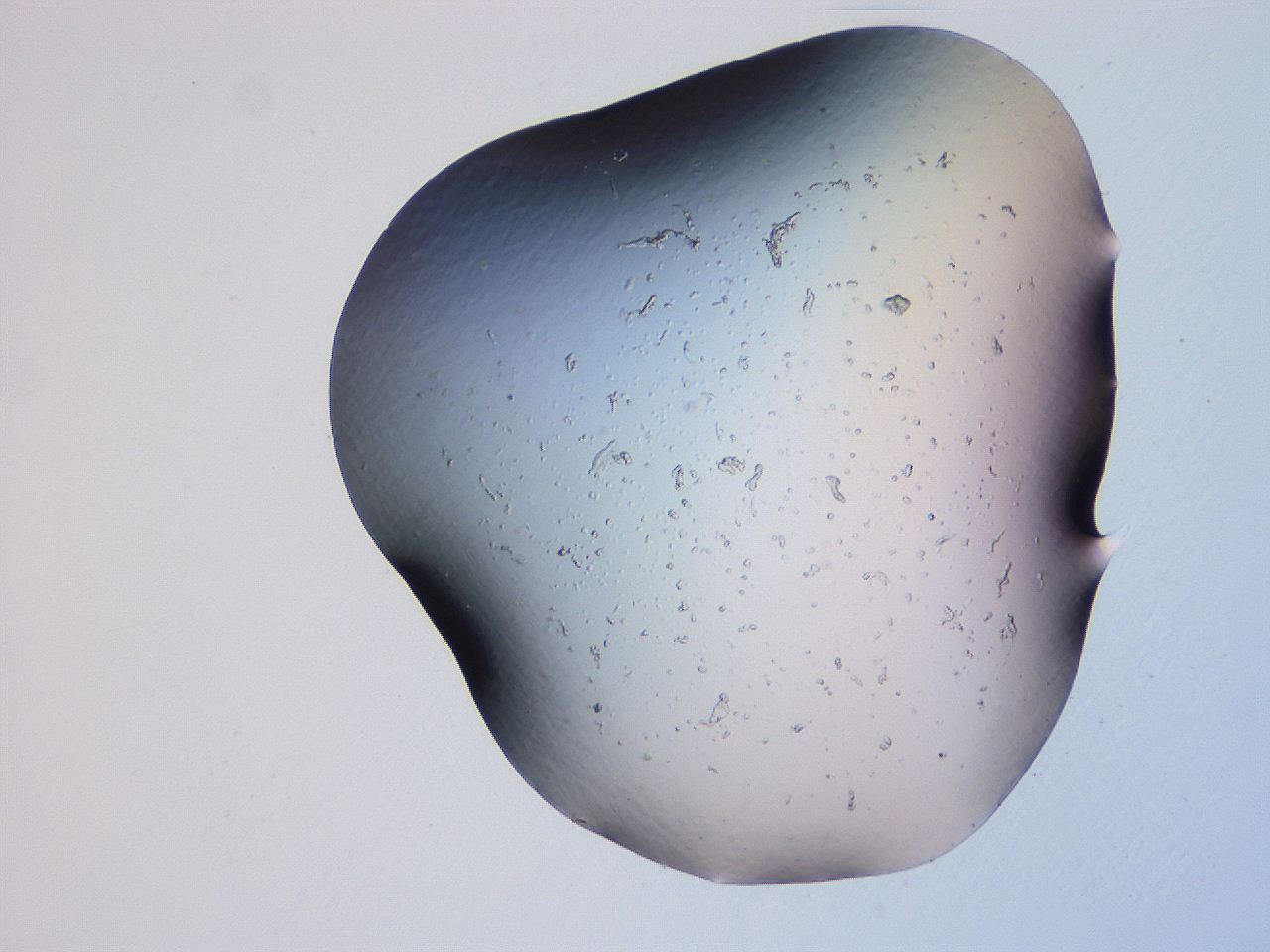 04g1_G9_ImagerDefaults_3.jpg