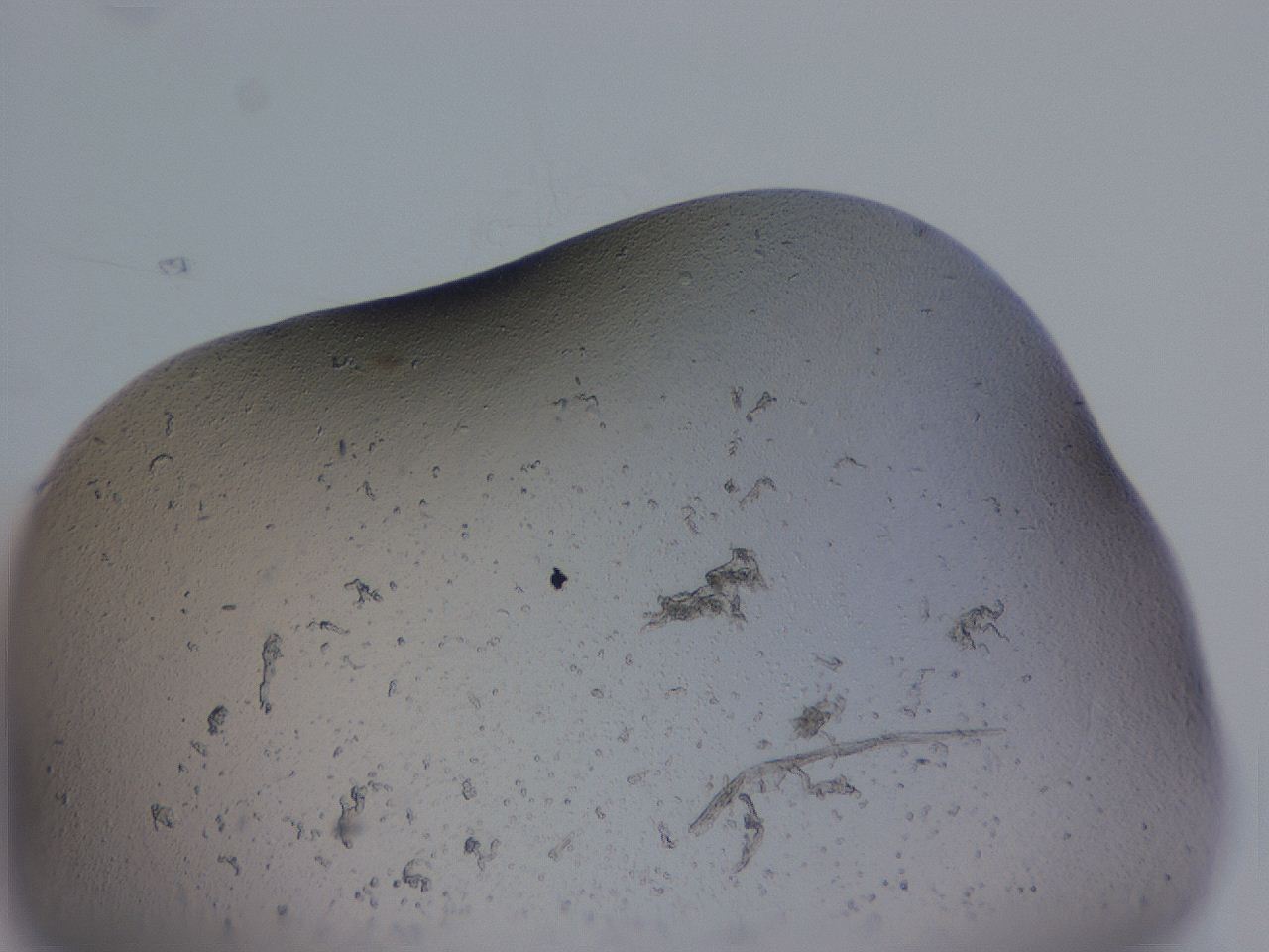 04g1_G11_ImagerDefaults_3.jpg