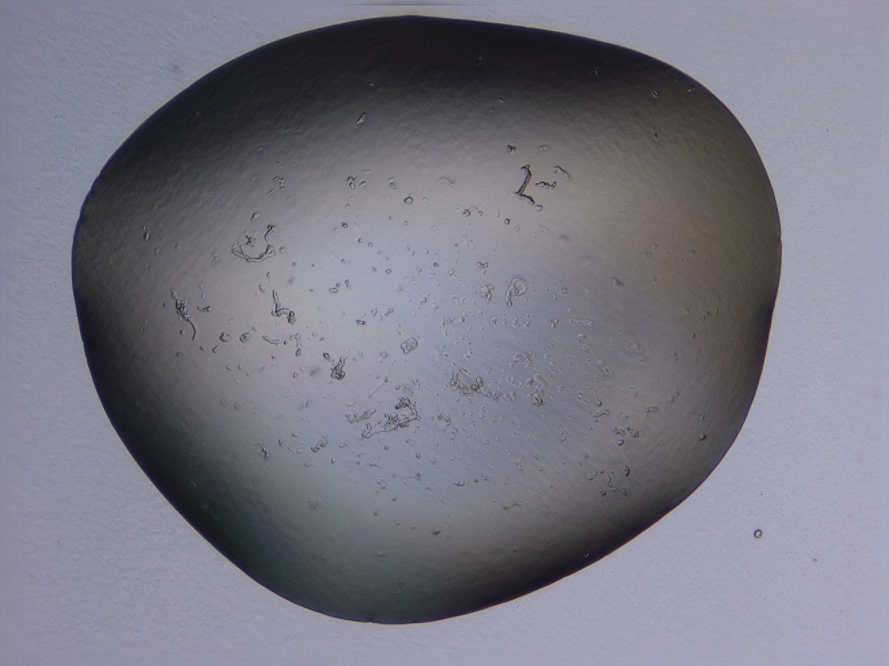 04g1_H1_ImagerDefaults_0.jpg
