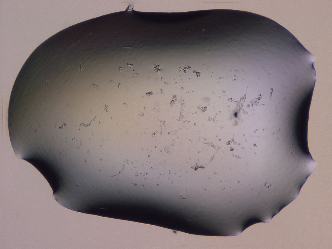 04g1_H2_ImagerDefaults_0.jpg
