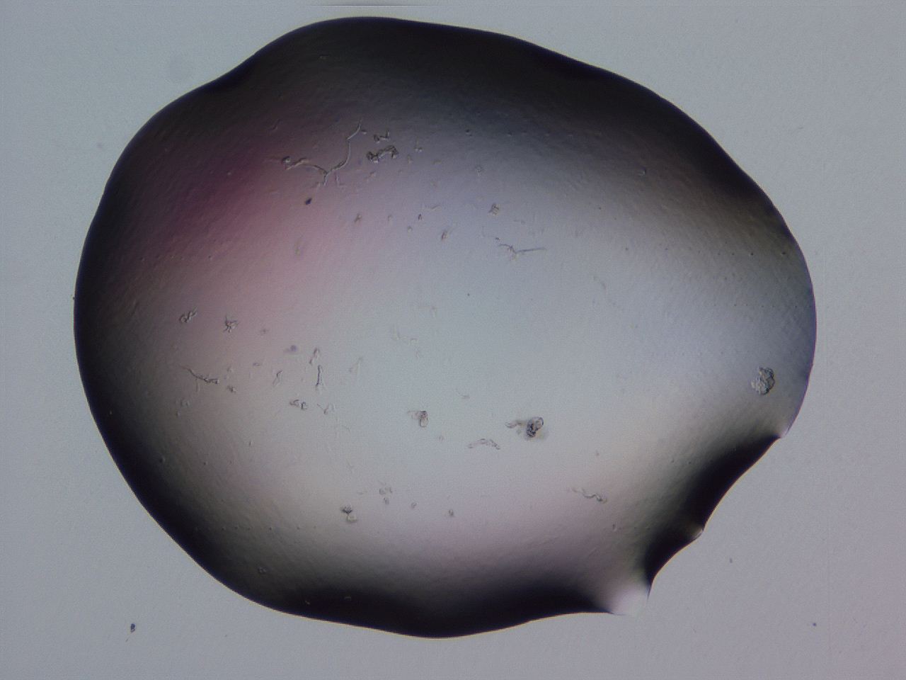 04g1_H3_ImagerDefaults_0.jpg
