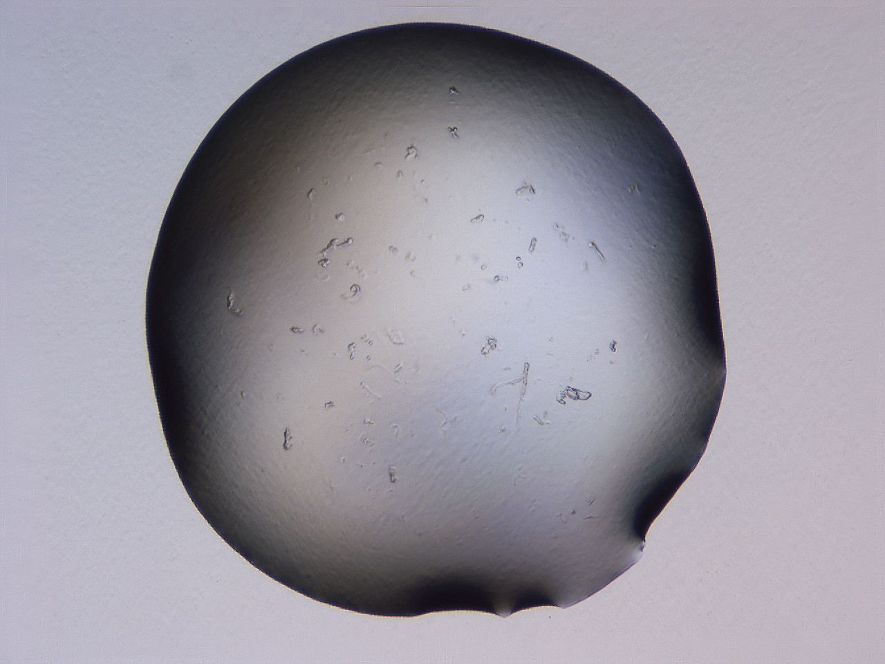 04g1_H4_ImagerDefaults_0.jpg