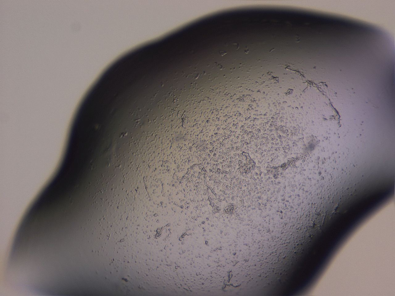 04g1_H6_ImagerDefaults_3.jpg
