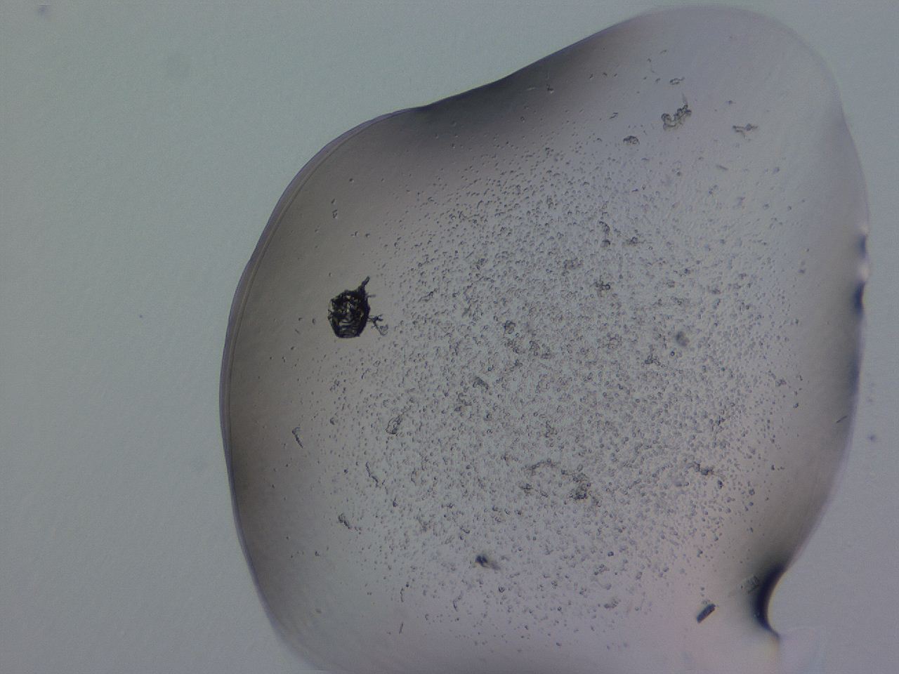 04g1_H11_ImagerDefaults_3.jpg