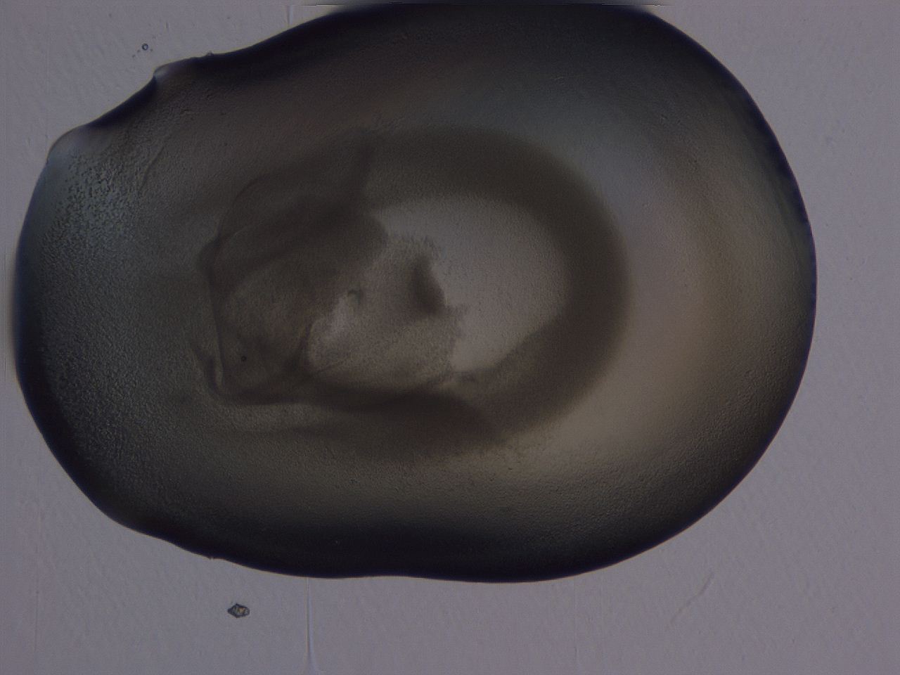 04g2_A10_ImagerDefaults_3.jpg