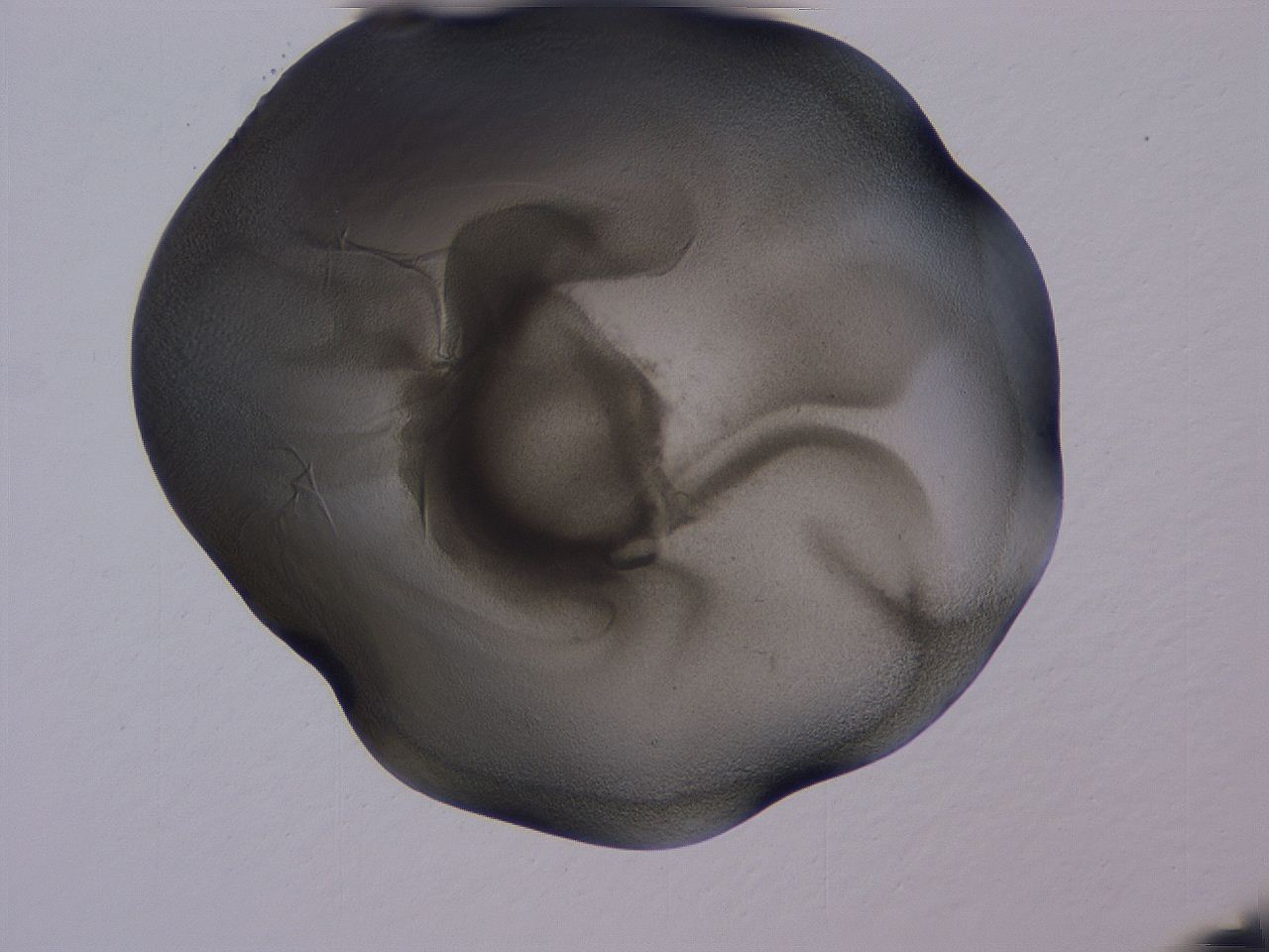 04g2_A11_ImagerDefaults_3.jpg