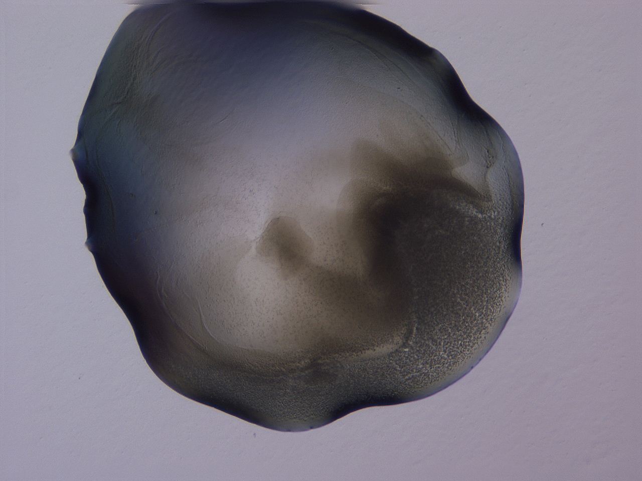 04g2_A12_ImagerDefaults_3.jpg