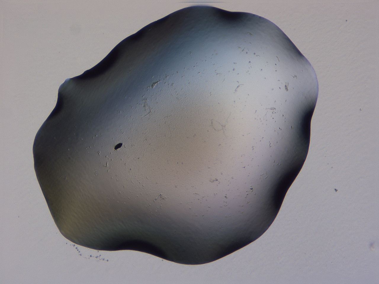04g2_B6_ImagerDefaults_0.jpg