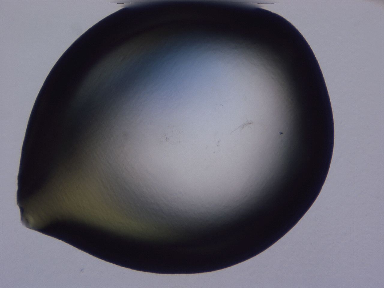 04g2_B7_ImagerDefaults_0.jpg