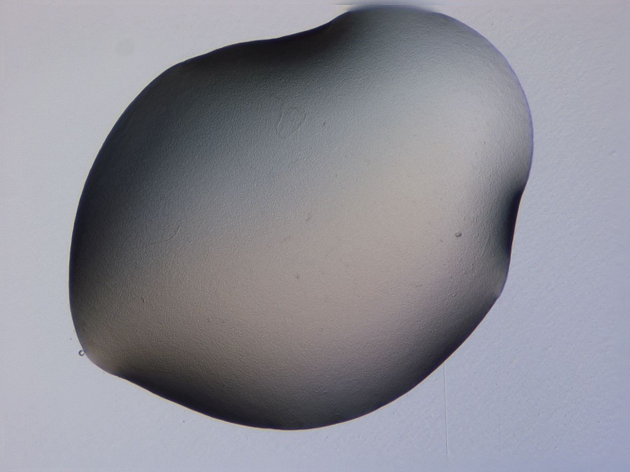04g2_B10_ImagerDefaults_0.jpg