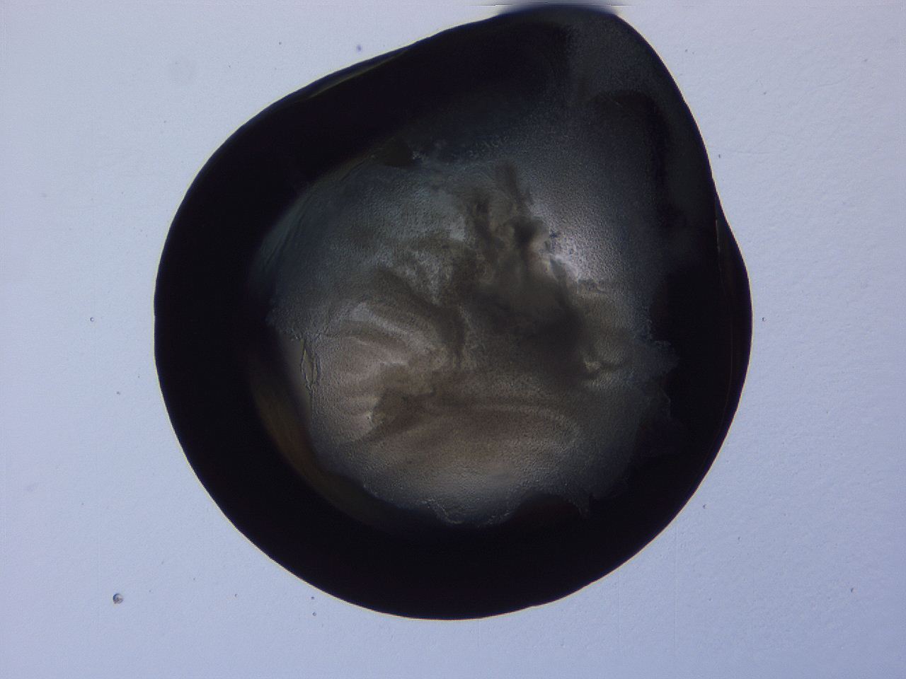 04g2_B11_ImagerDefaults_3.jpg