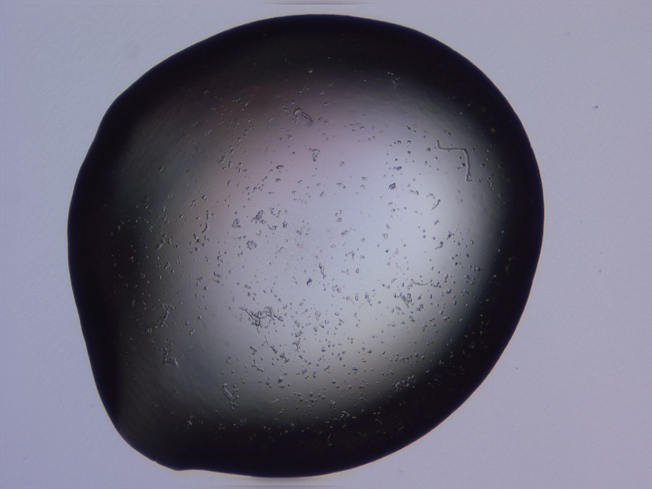 04g2_C1_ImagerDefaults_0.jpg