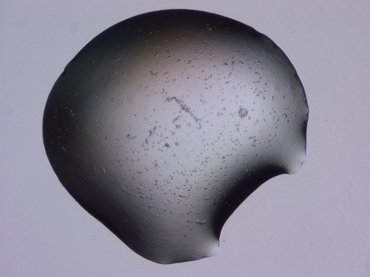 04g2_C4_ImagerDefaults_0.jpg