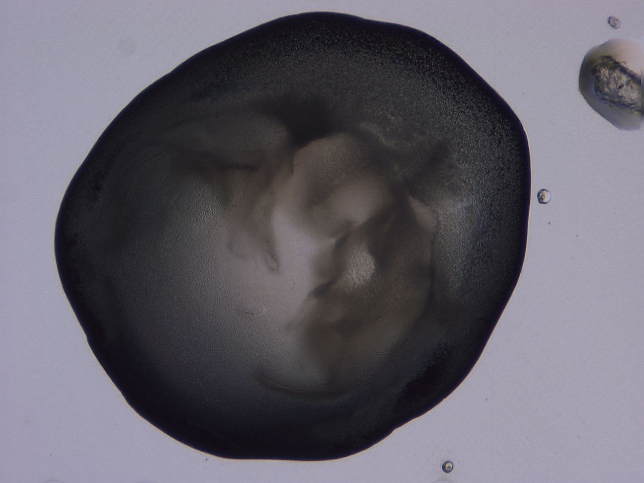 04g2_C5_ImagerDefaults_3.jpg