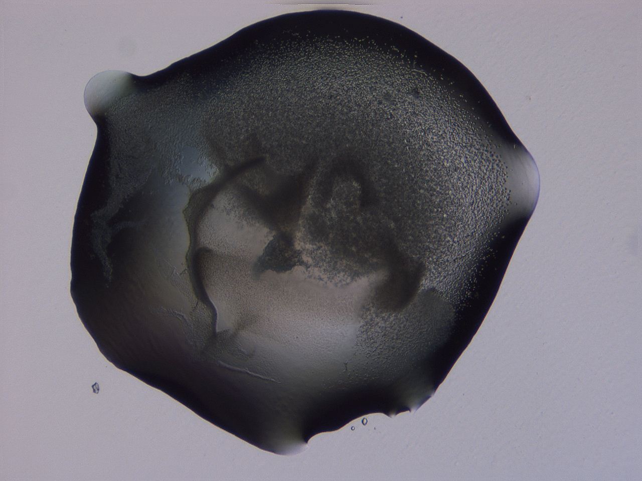 04g2_C6_ImagerDefaults_3.jpg