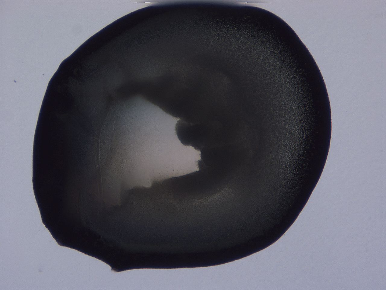 04g2_C7_ImagerDefaults_3.jpg