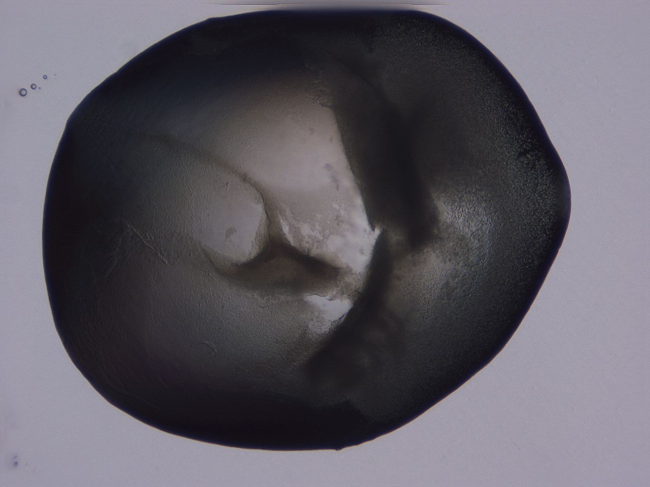 04g2_C8_ImagerDefaults_3.jpg