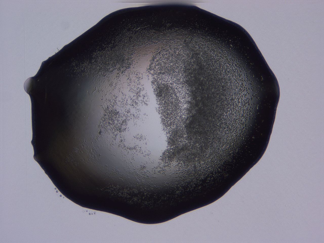 04g2_C9_ImagerDefaults_3.jpg