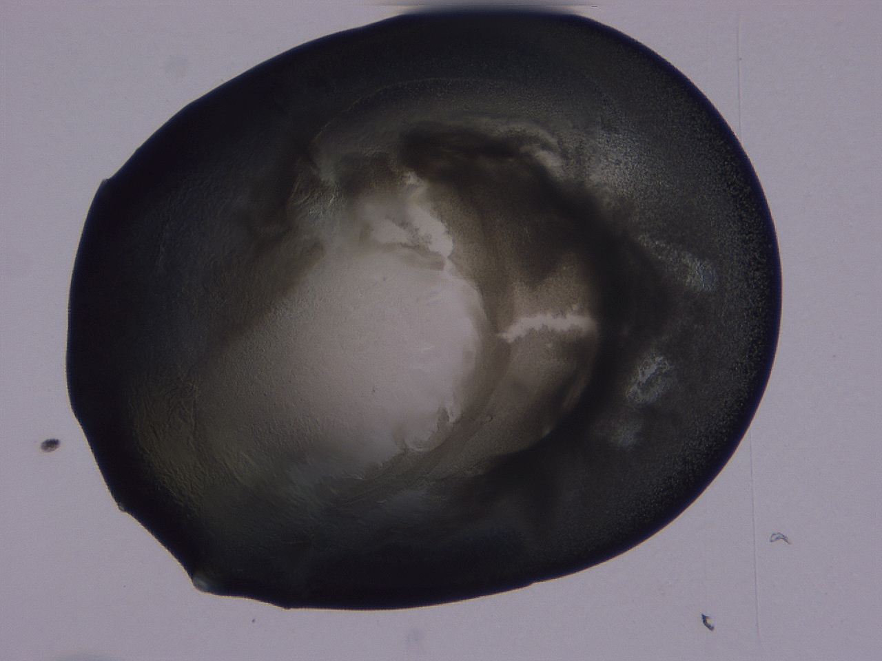 04g2_C10_ImagerDefaults_3.jpg