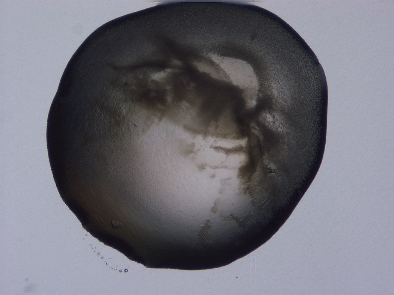 04g2_C11_ImagerDefaults_3.jpg