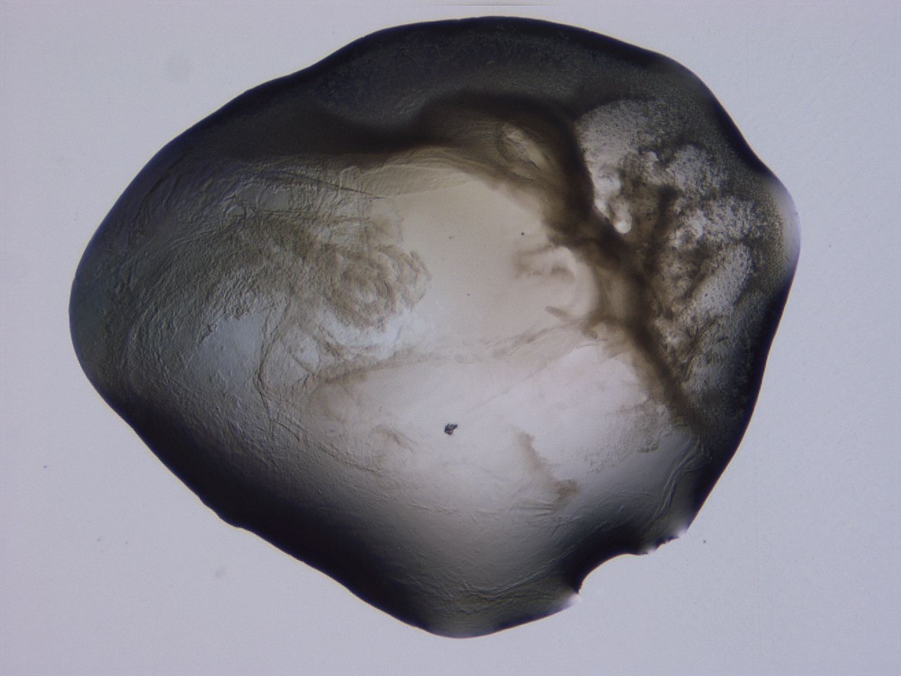 04g2_D3_ImagerDefaults_3.jpg