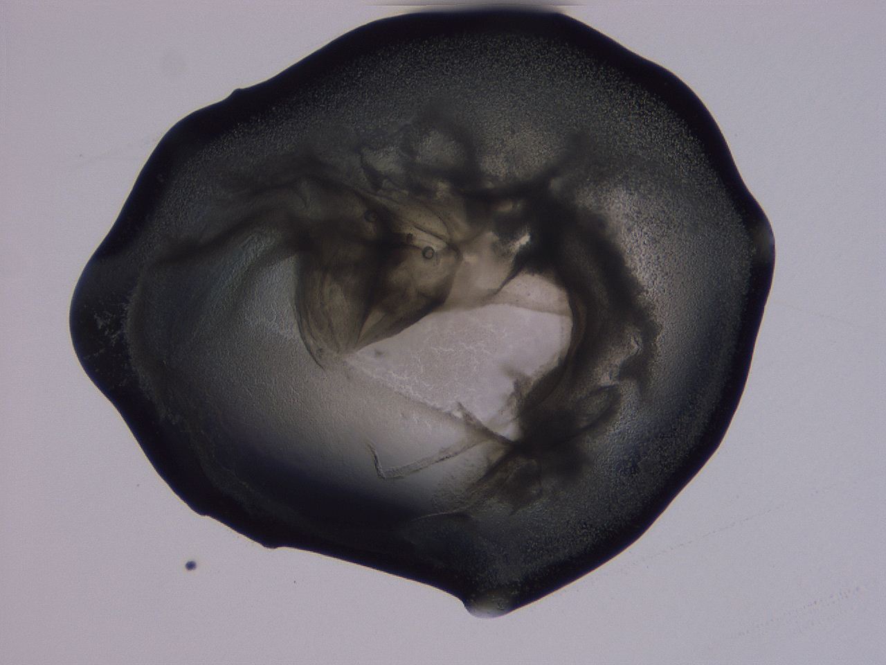 04g2_D6_ImagerDefaults_3.jpg