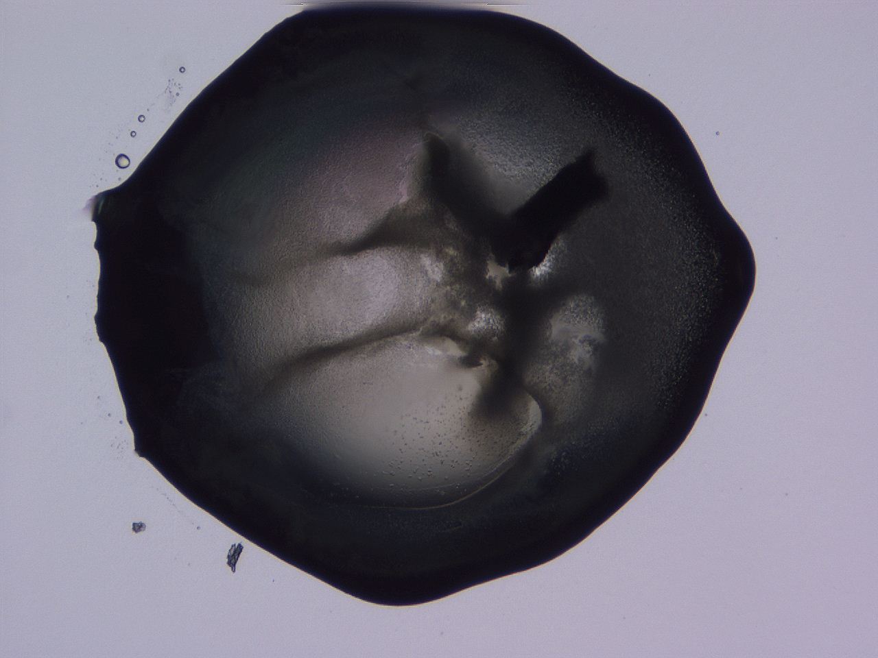 04g2_D8_ImagerDefaults_3.jpg