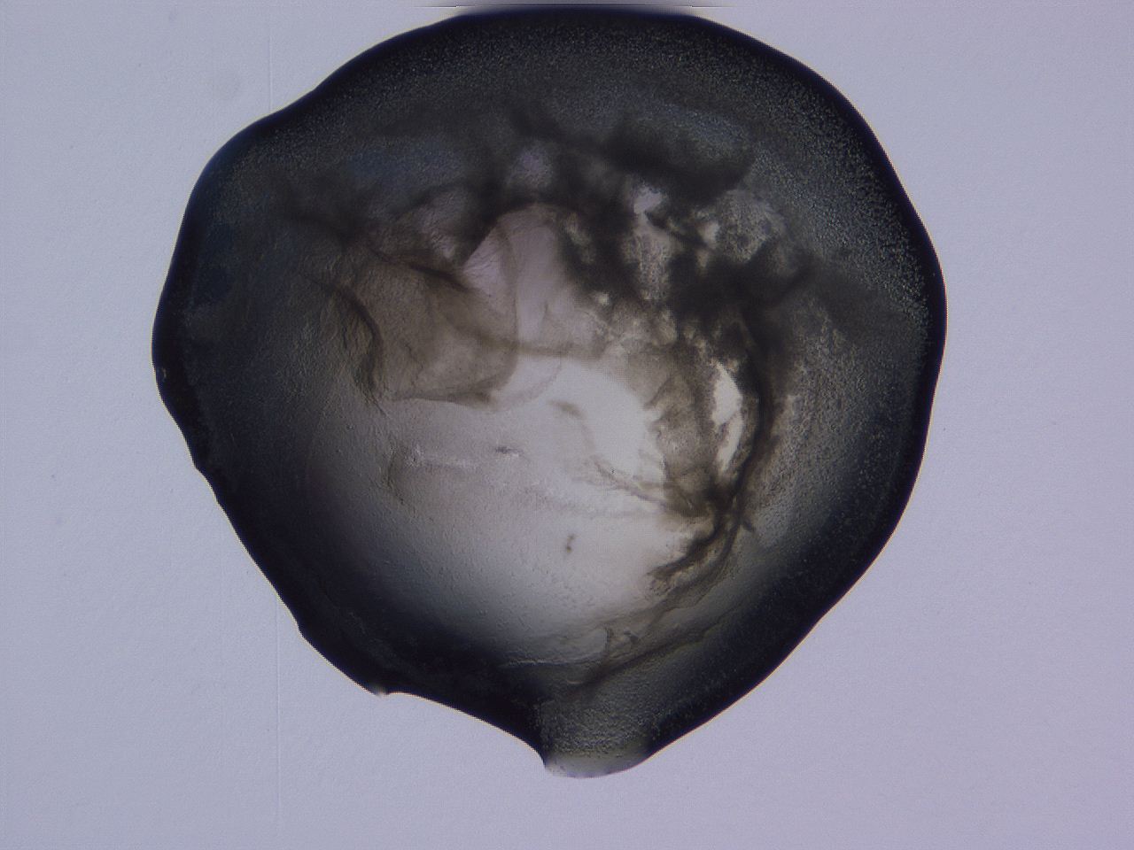 04g2_D9_ImagerDefaults_3.jpg