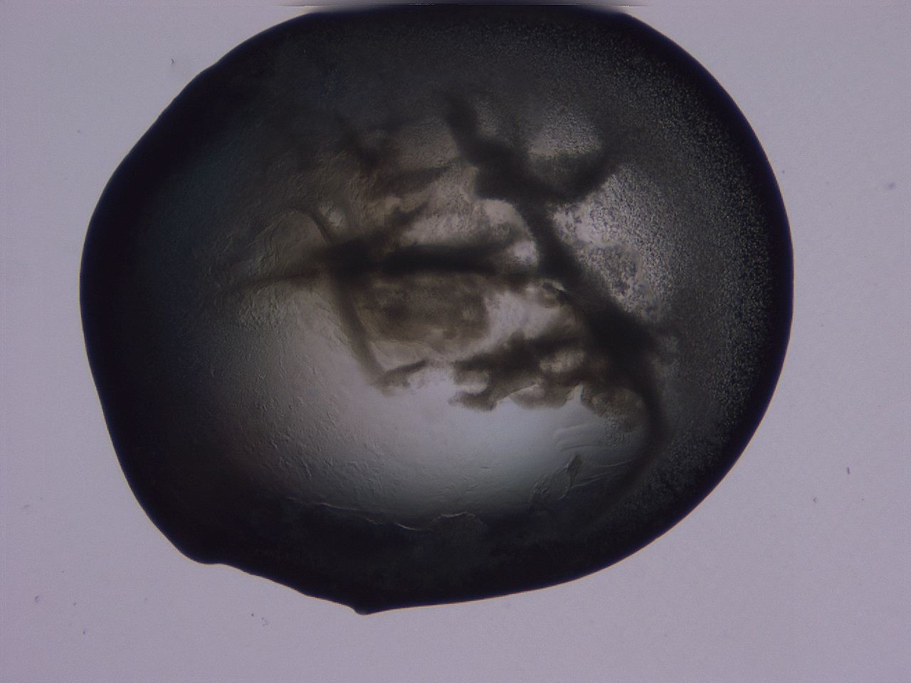 04g2_D10_ImagerDefaults_3.jpg
