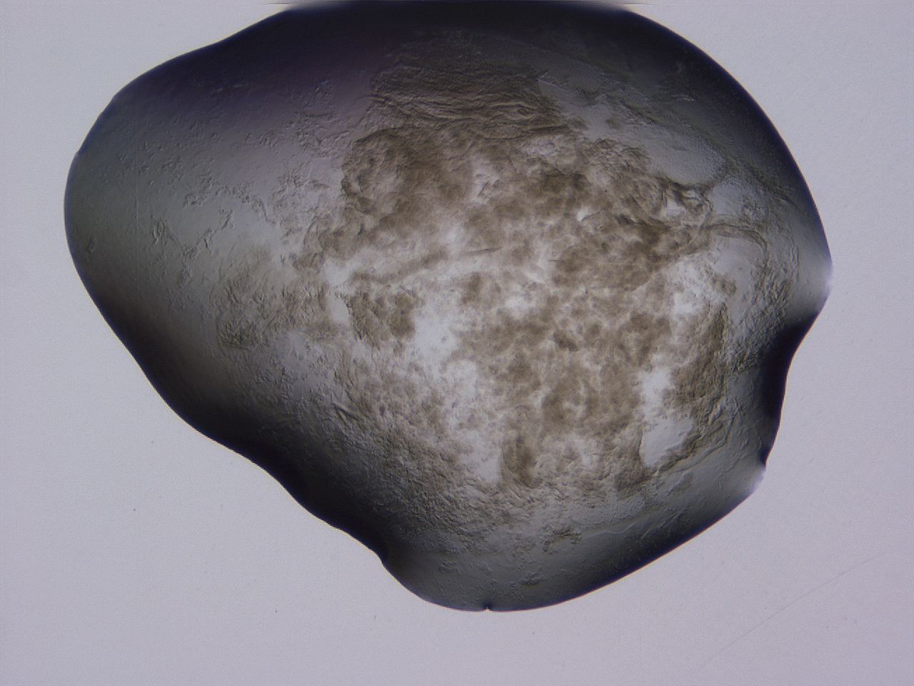 04g2_D11_ImagerDefaults_3.jpg