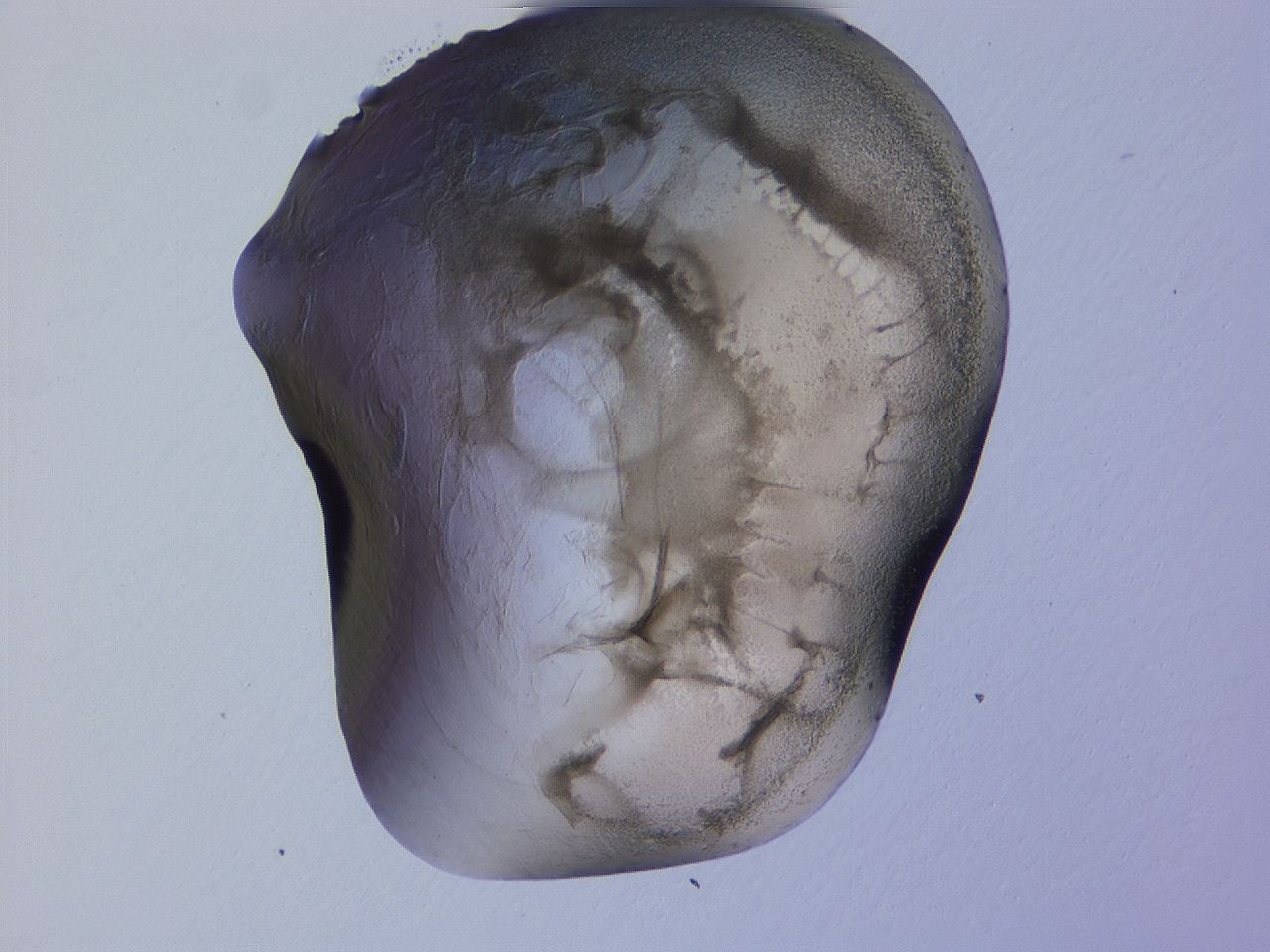 04g2_D12_ImagerDefaults_3.jpg