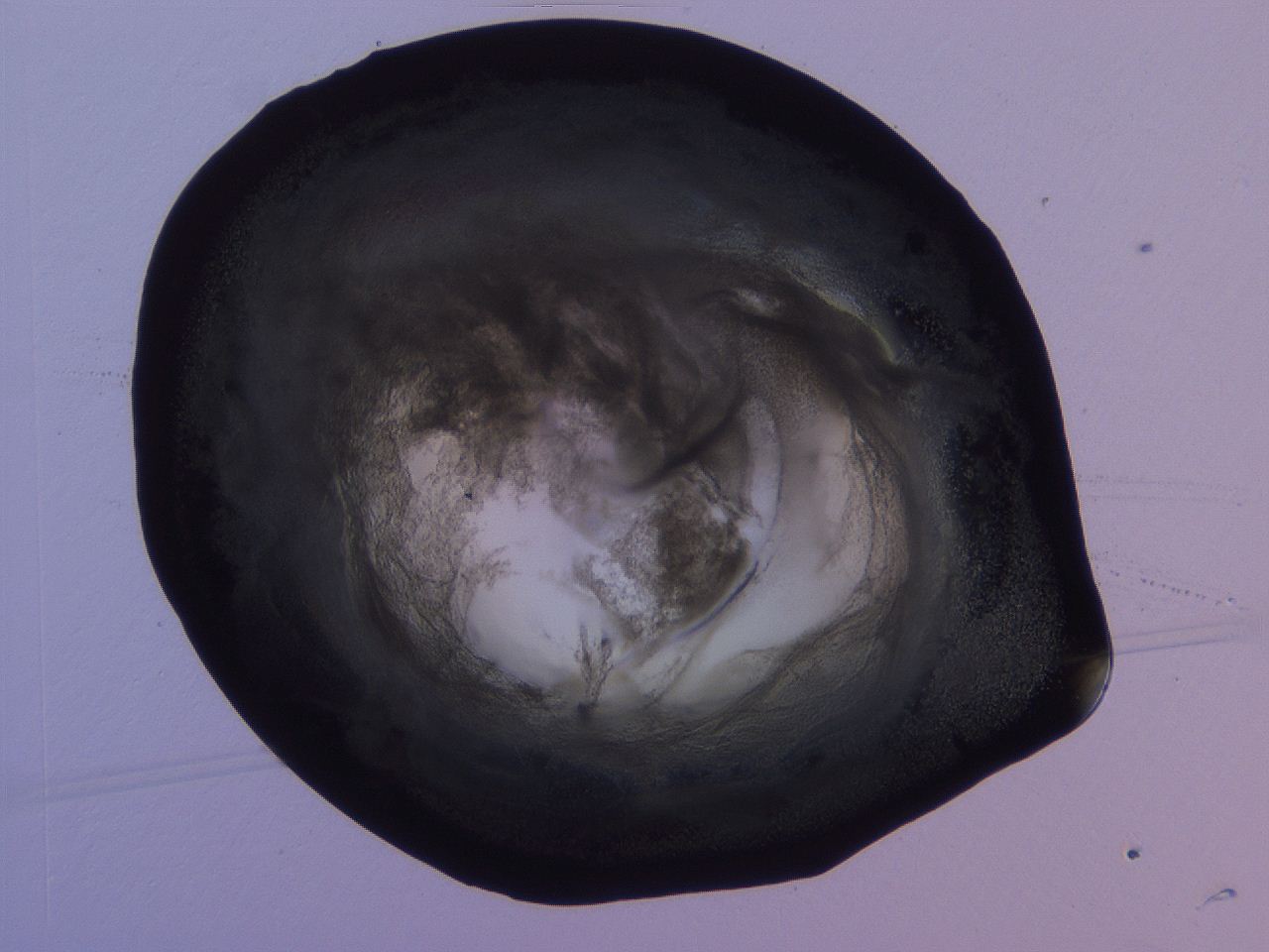 04g2_E2_ImagerDefaults_3.jpg