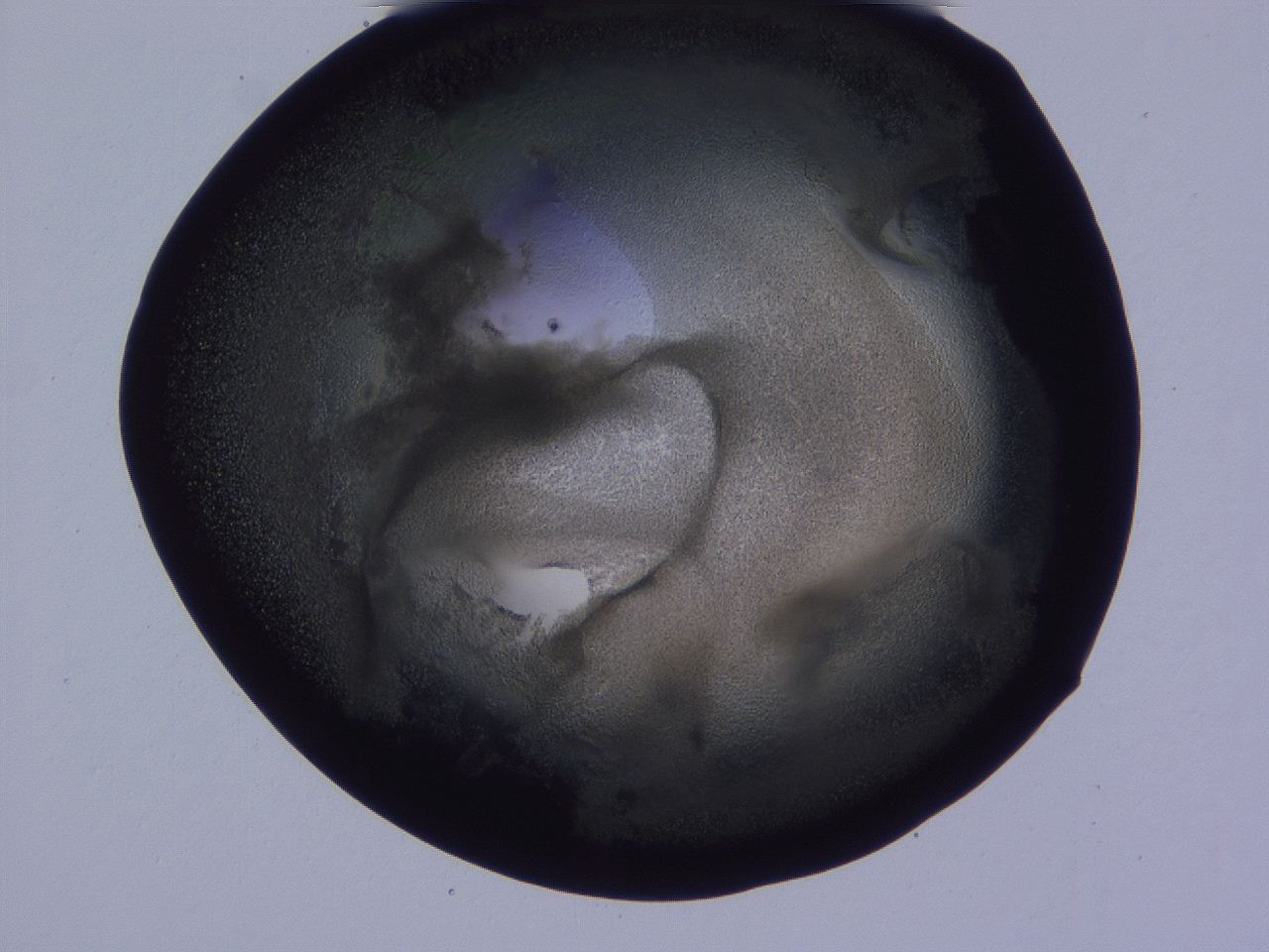 04g2_E4_ImagerDefaults_3.jpg