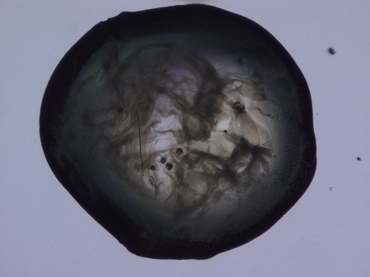 04g2_E5_ImagerDefaults_3.jpg